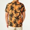 Qwhaitao.shop1d00a17802 2